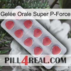 Gelée Orale Super P-Force 18